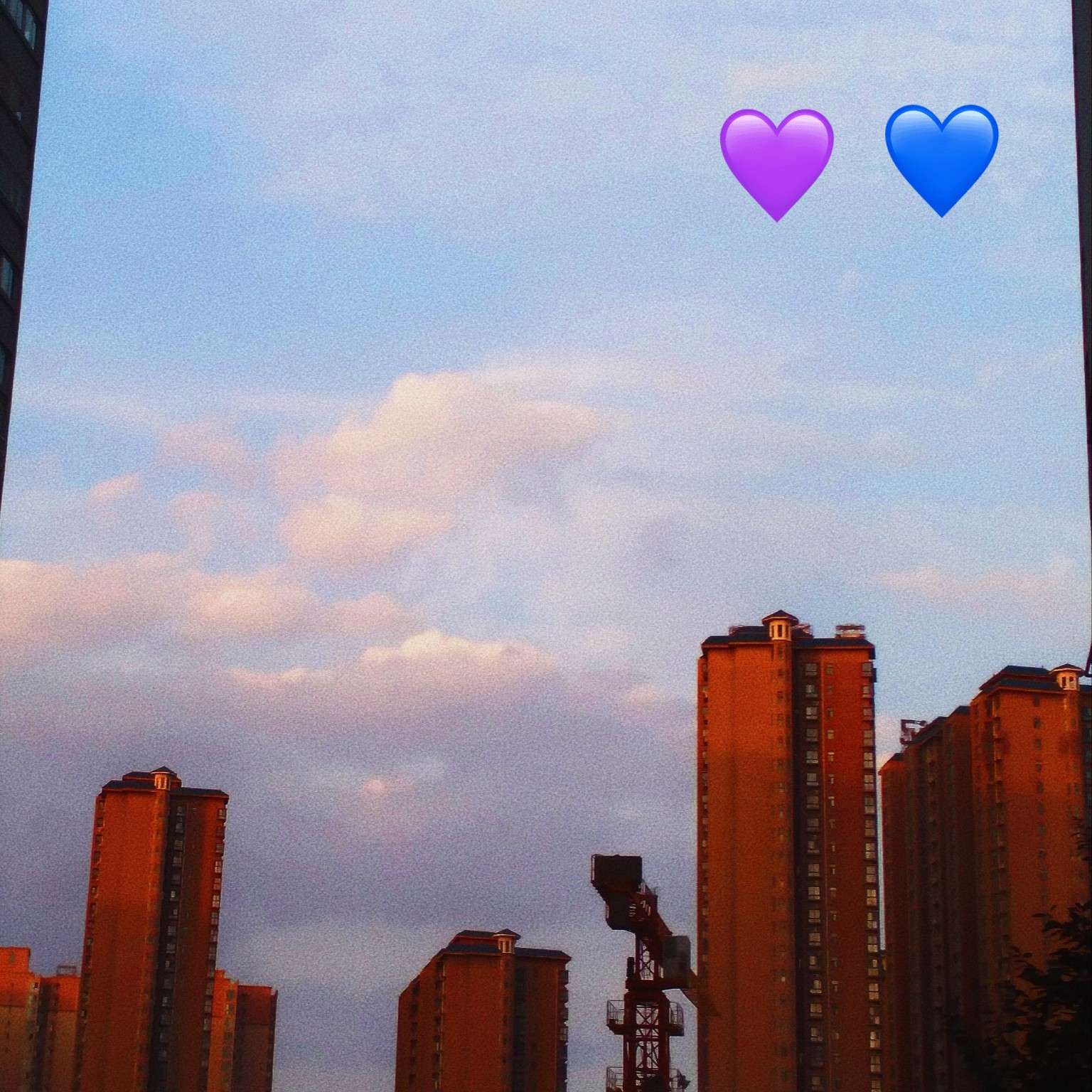 恋爱