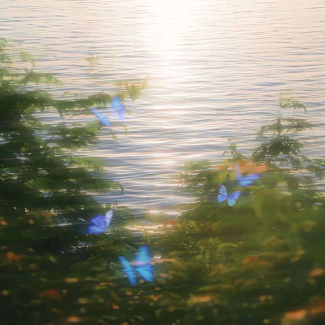杂句