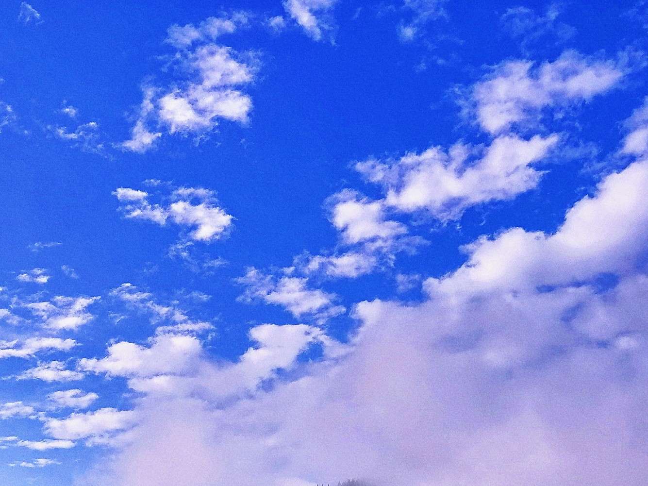 和你一起看风景