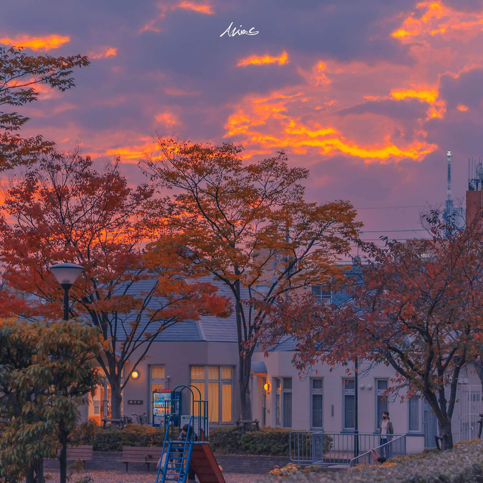 文艺青年