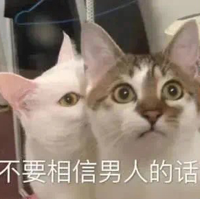抖音文案