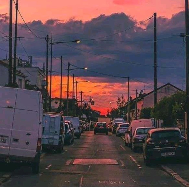 杂