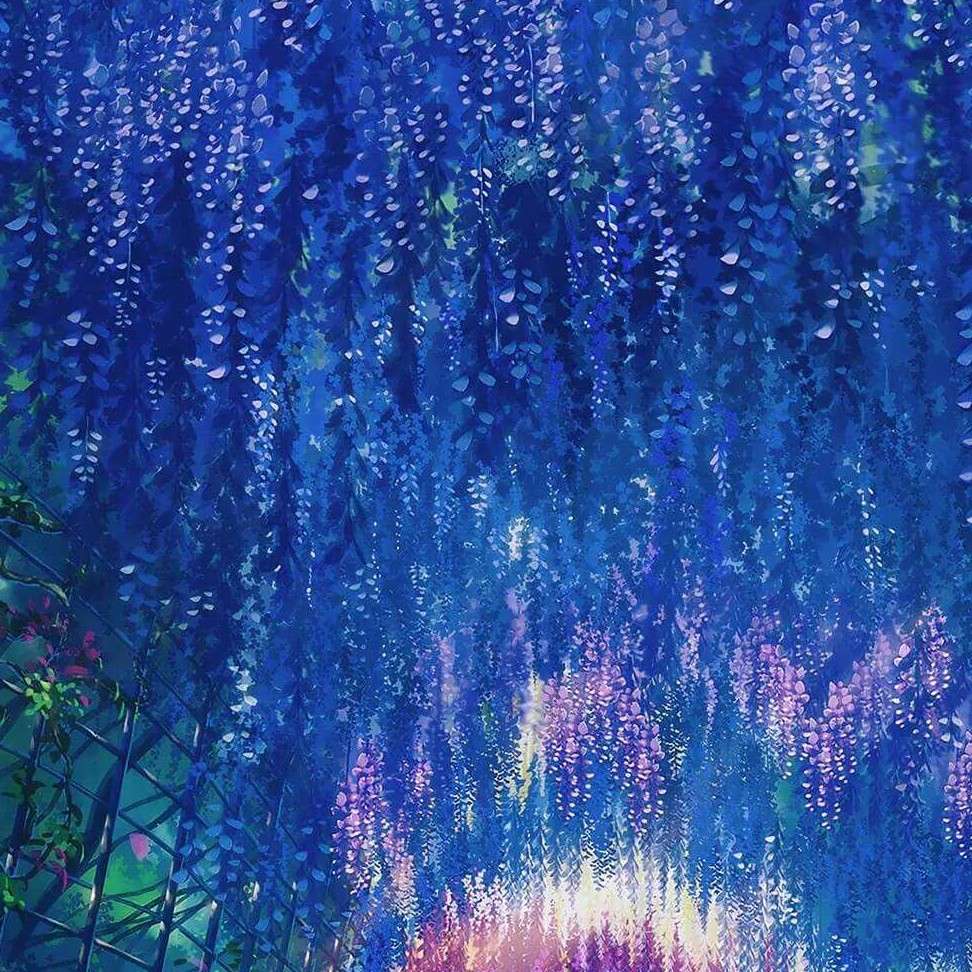雨