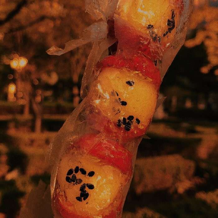 诗词炸弹烧