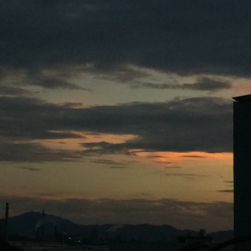 温柔吗