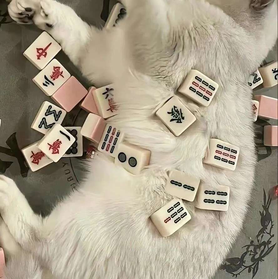 二木的专辑