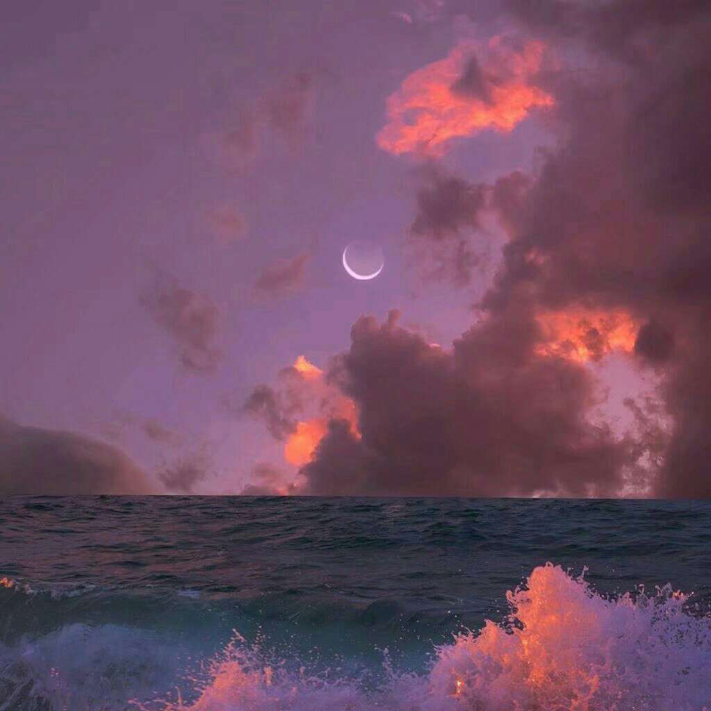 moonlight