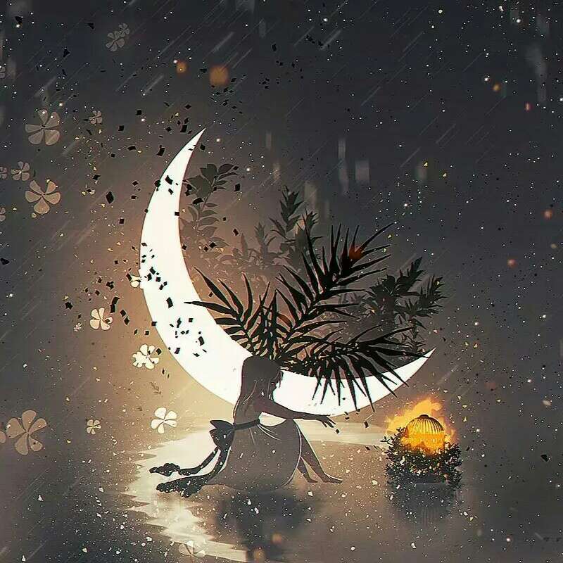 描写