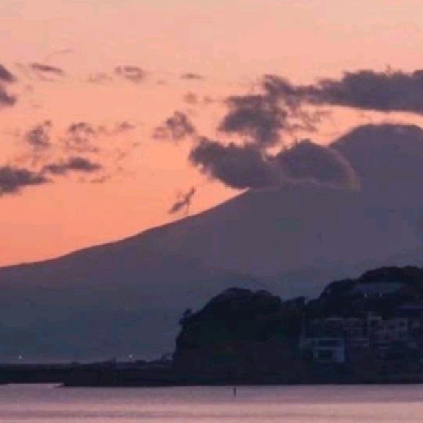摘录