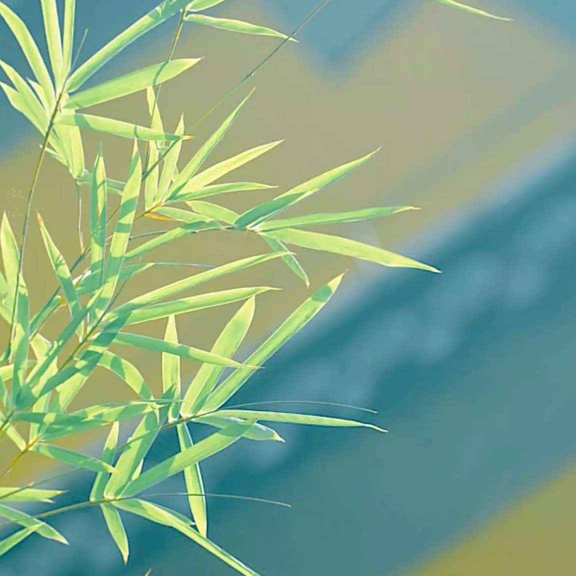 深愧平生志