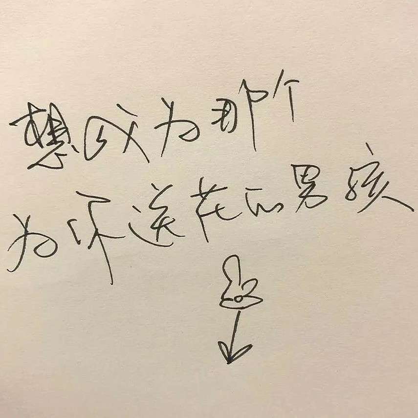 张皓宸笔尖的温柔