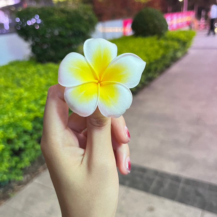 爱情这东西