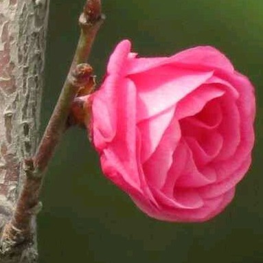 FOR YOU