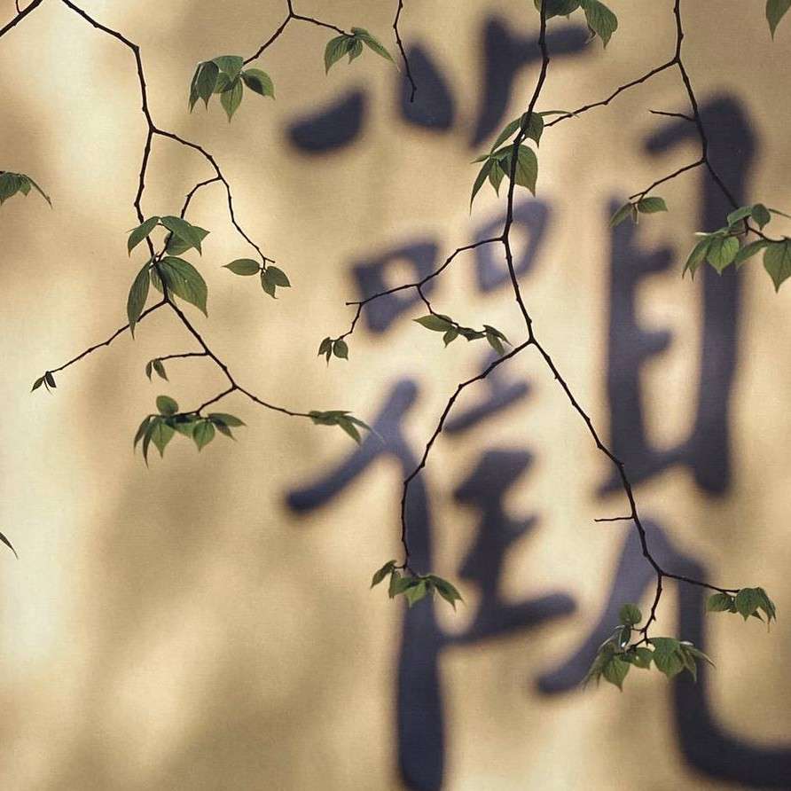 倾城