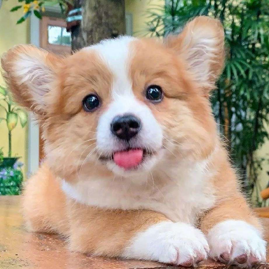 向阳而生
