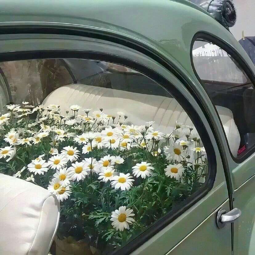遇见