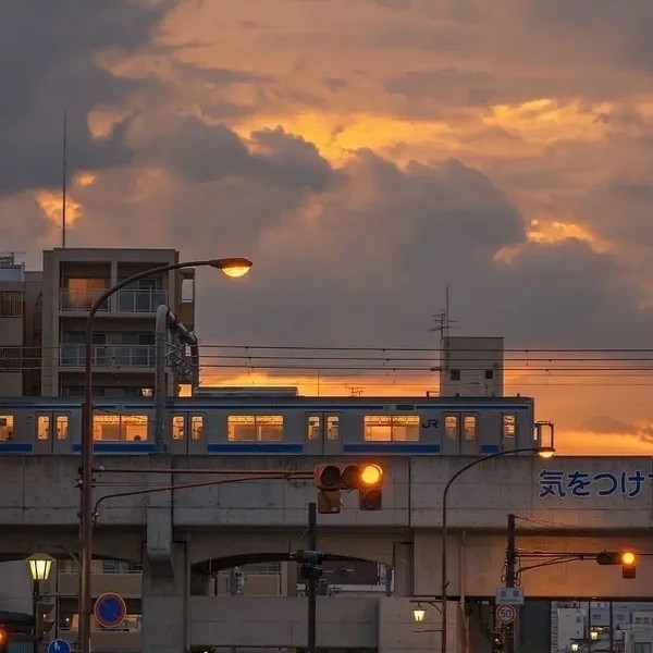 贩卖晚夏.