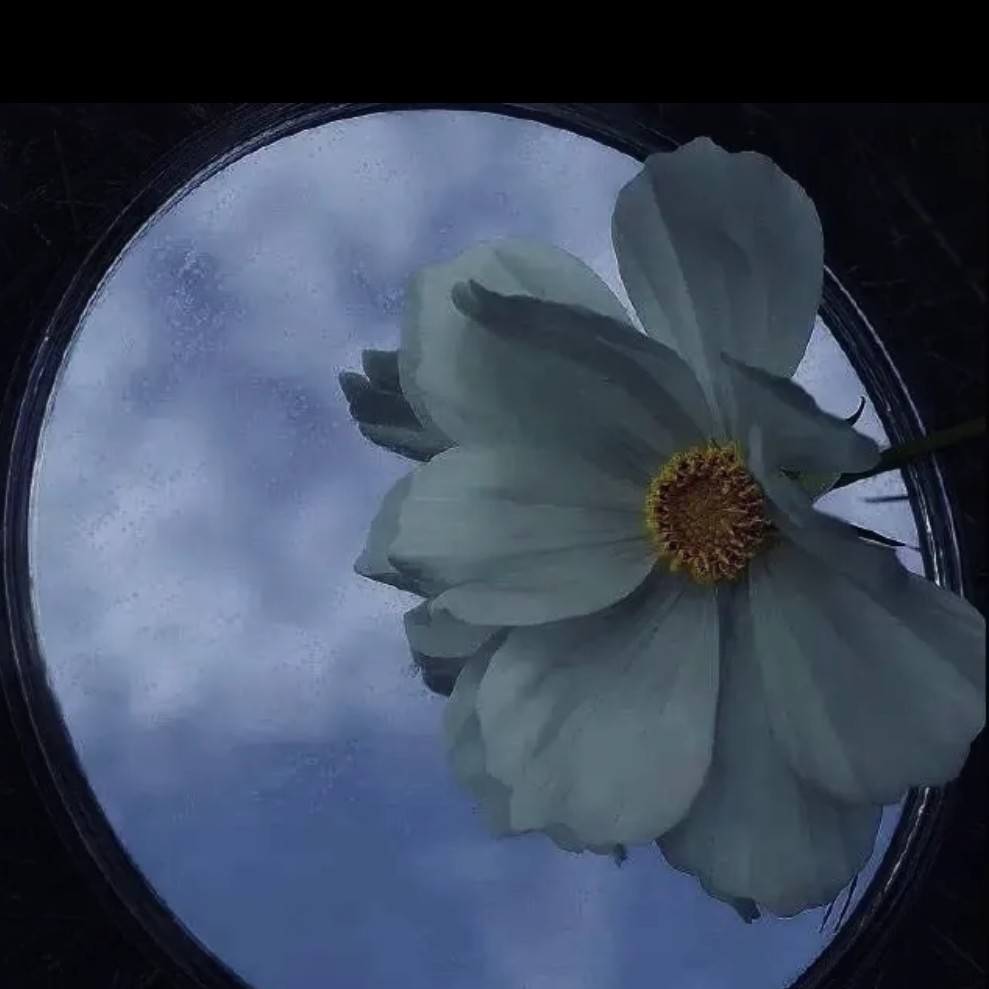 暗恋是一场赌博.