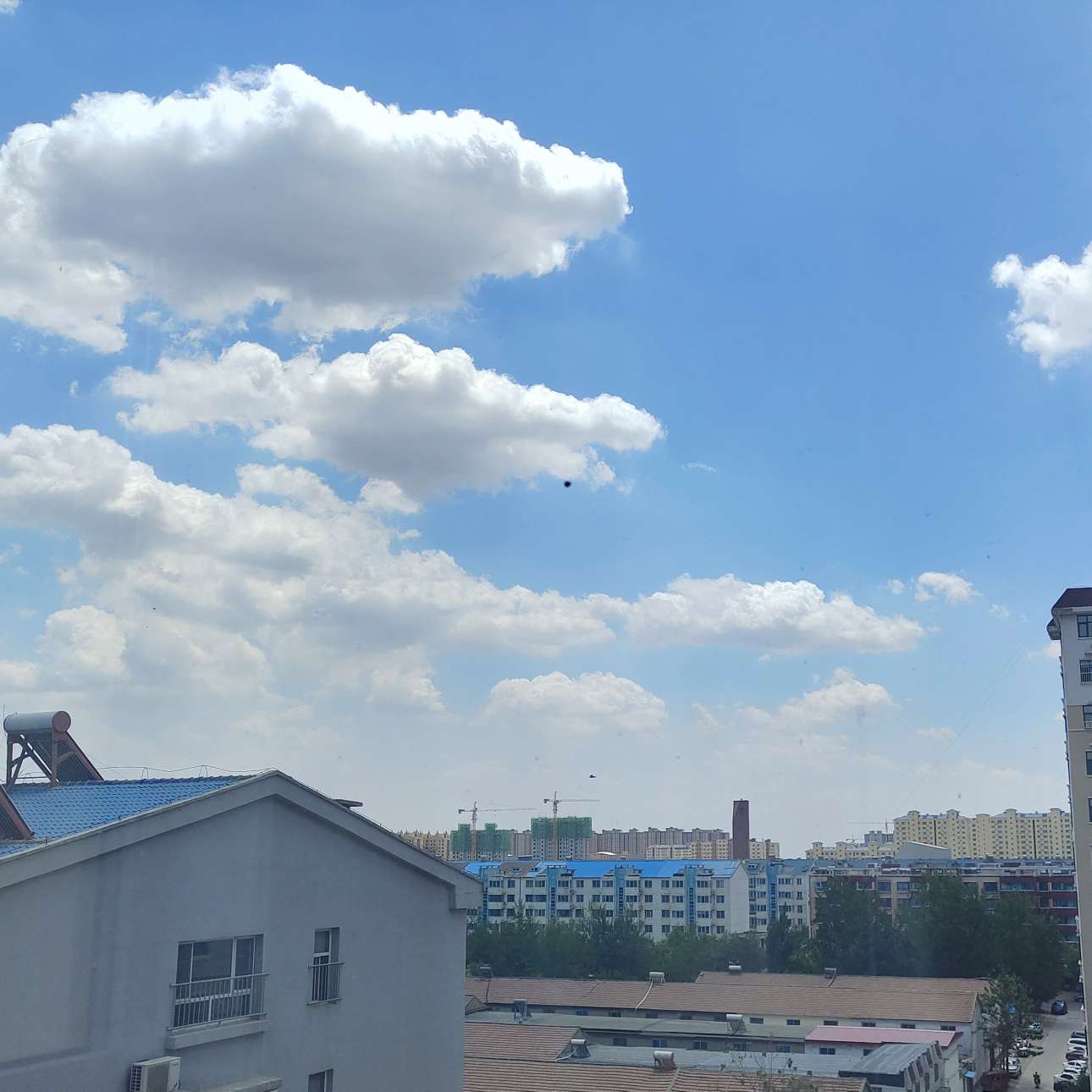 城市自喧嚣，心静仍如水