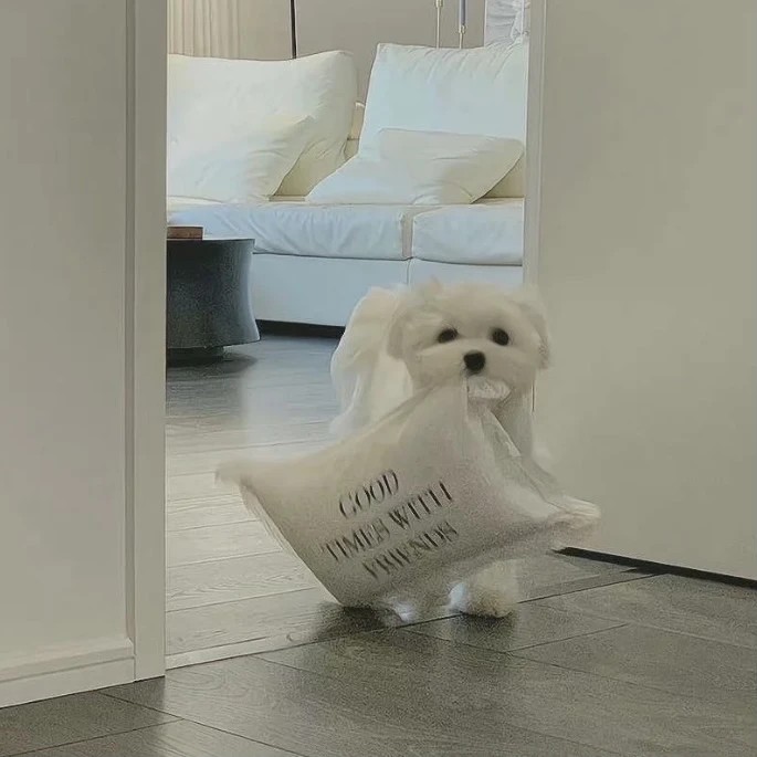 杂七杂八