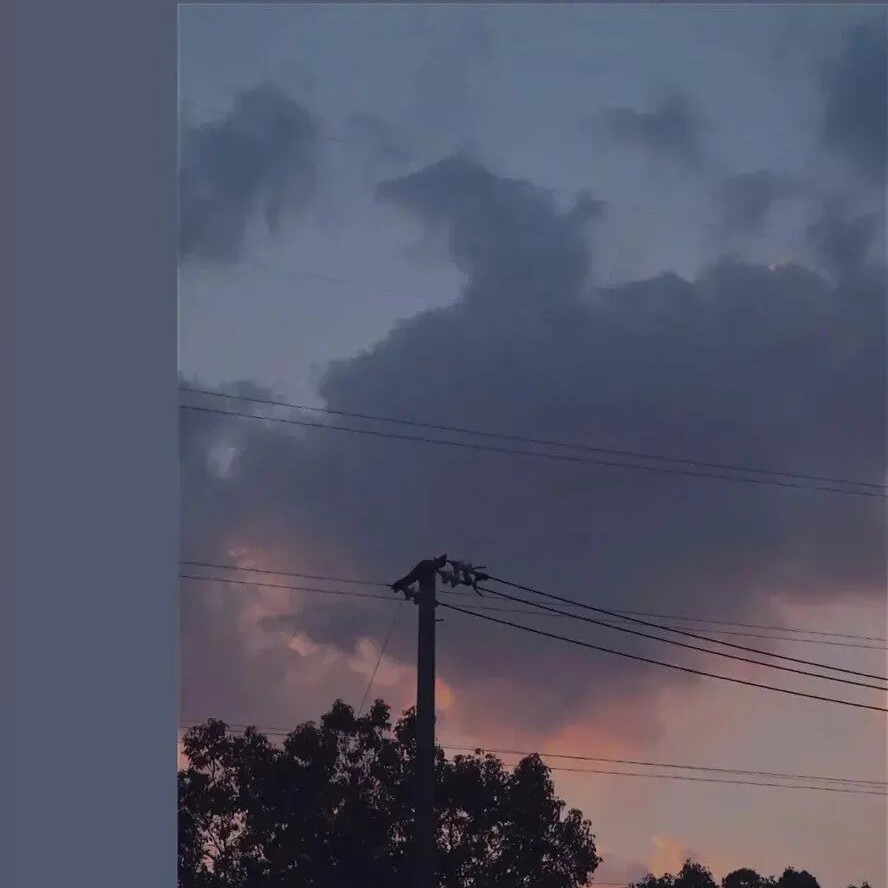 轻易的专辑