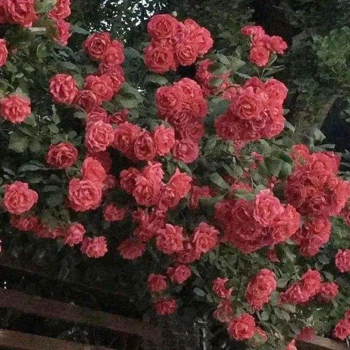 温柔文案