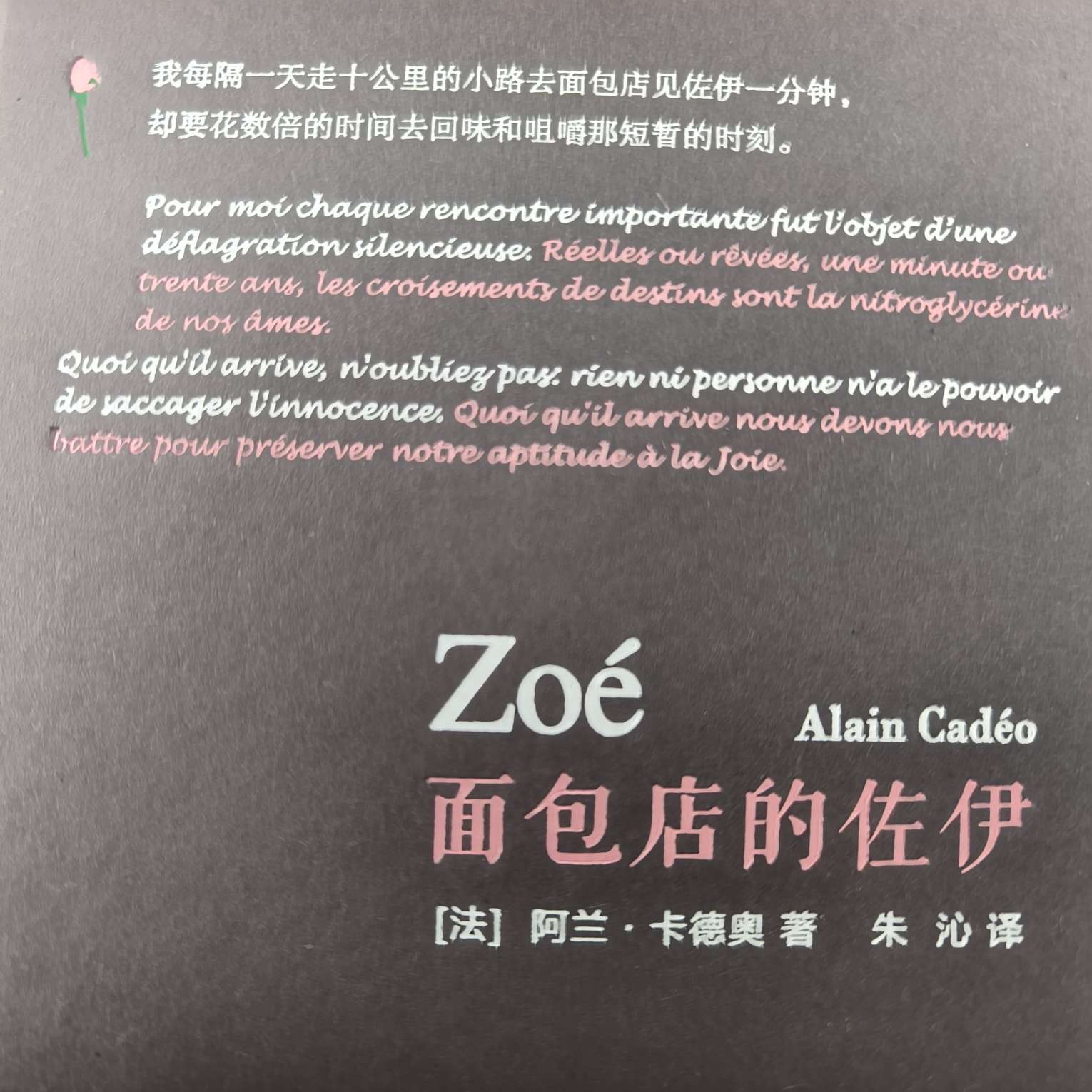 《面包店的佐伊》