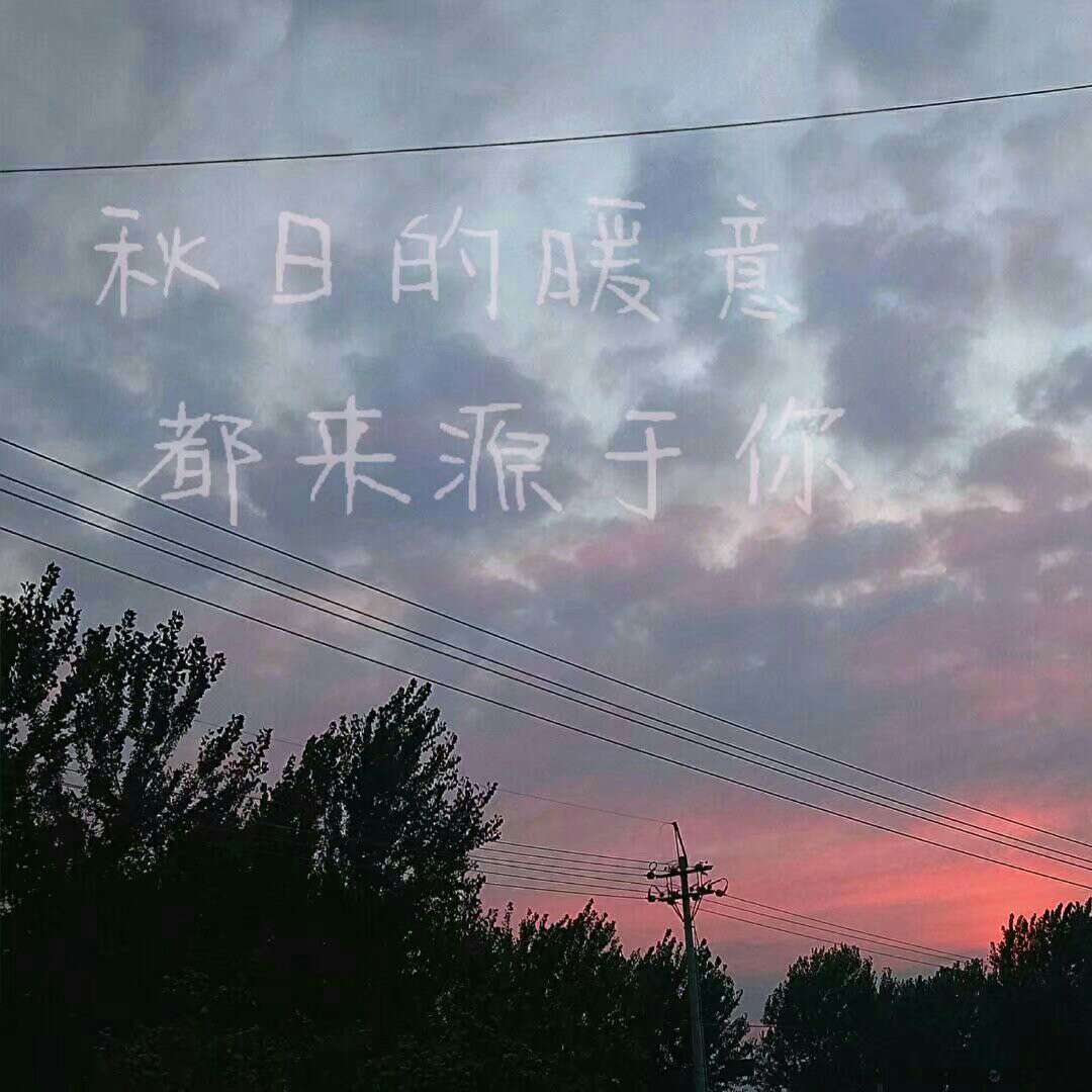 小熊摘星梦./🐻