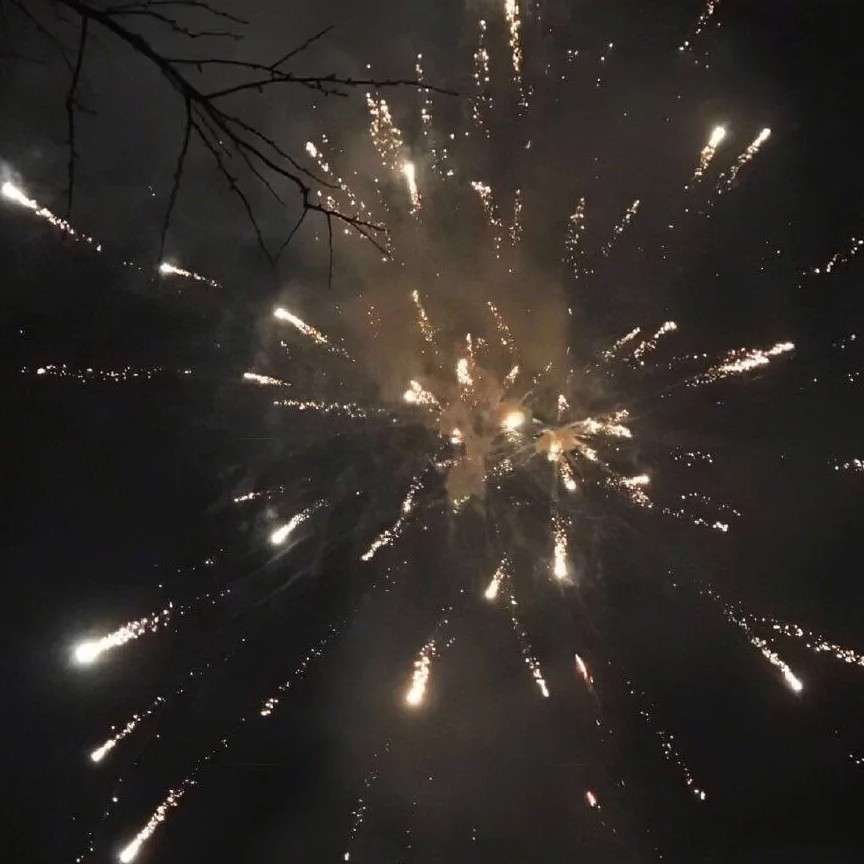 毒