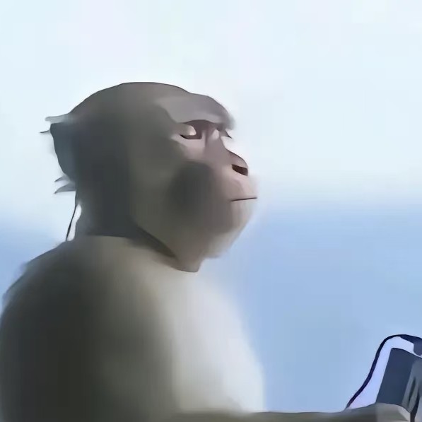 对内——自我指导