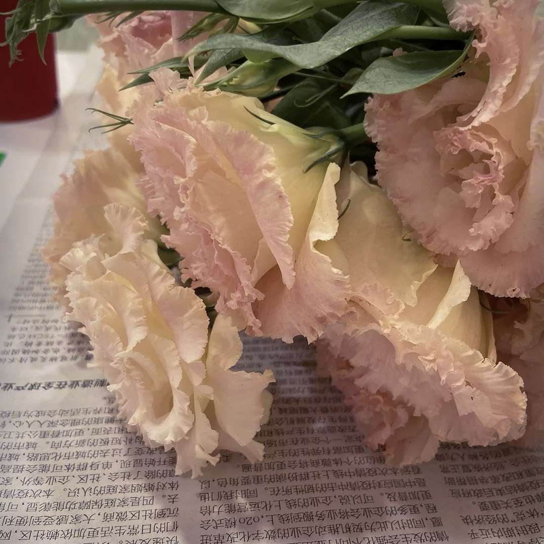 小说
