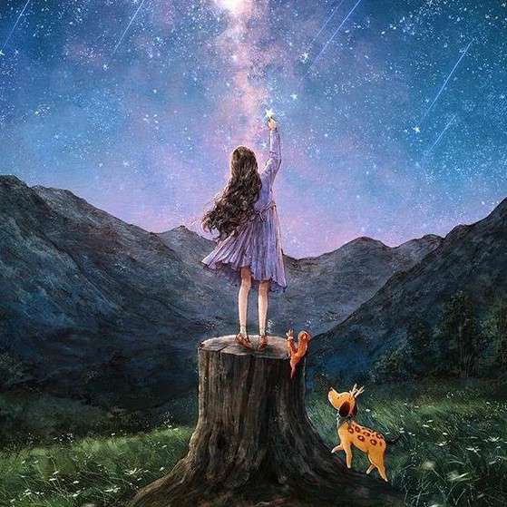 猫街少女梦的专辑