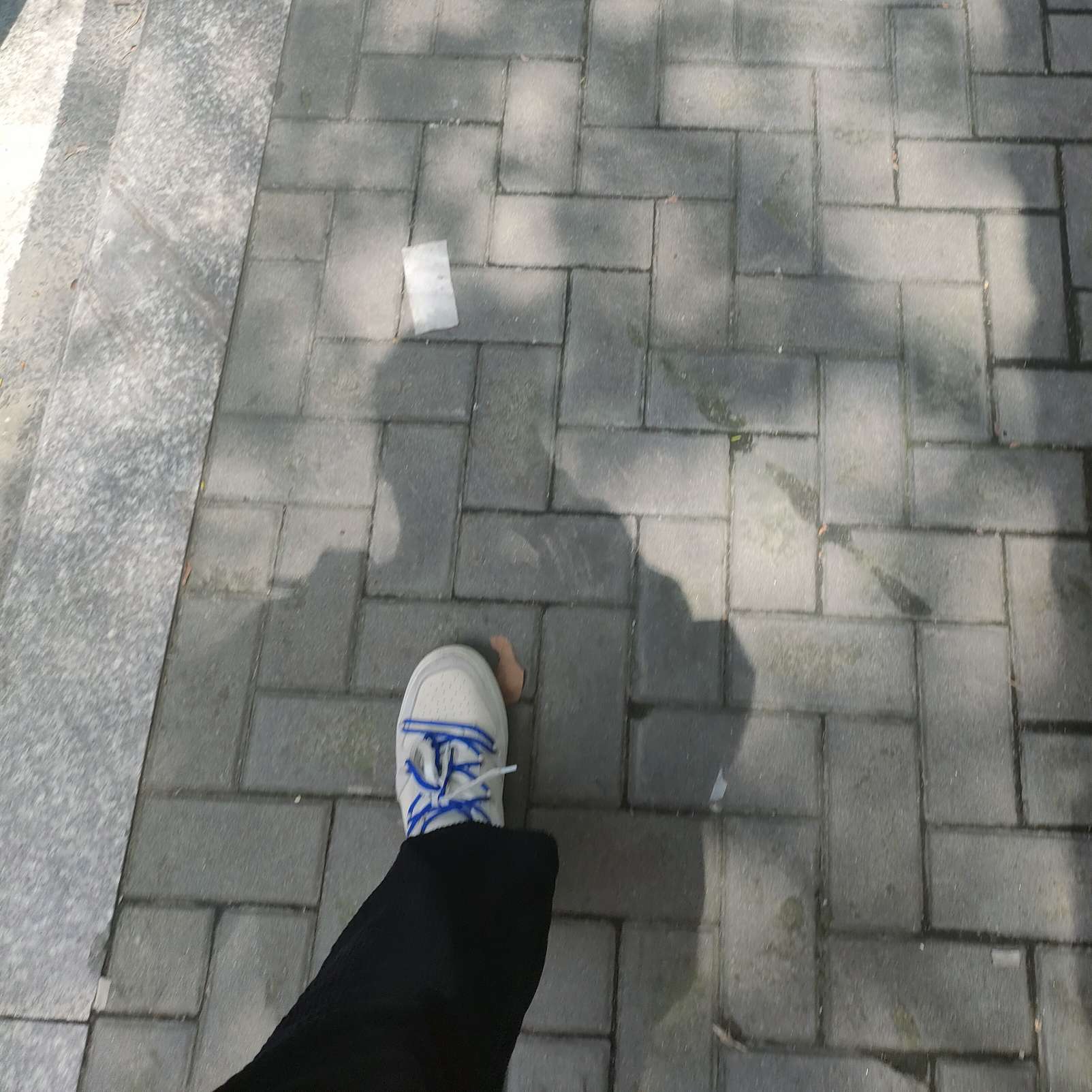 我的17岁