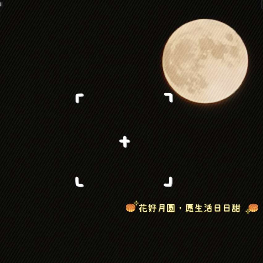 情感类