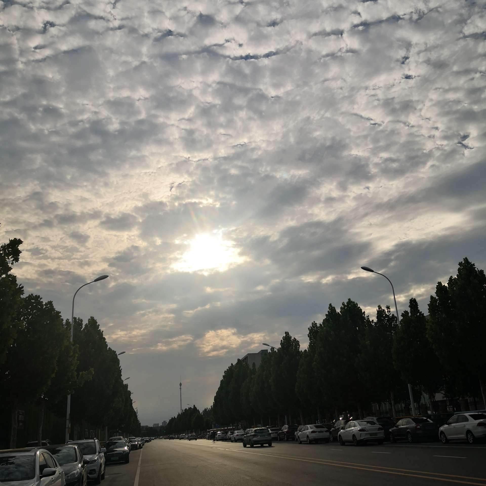 爱情公寓