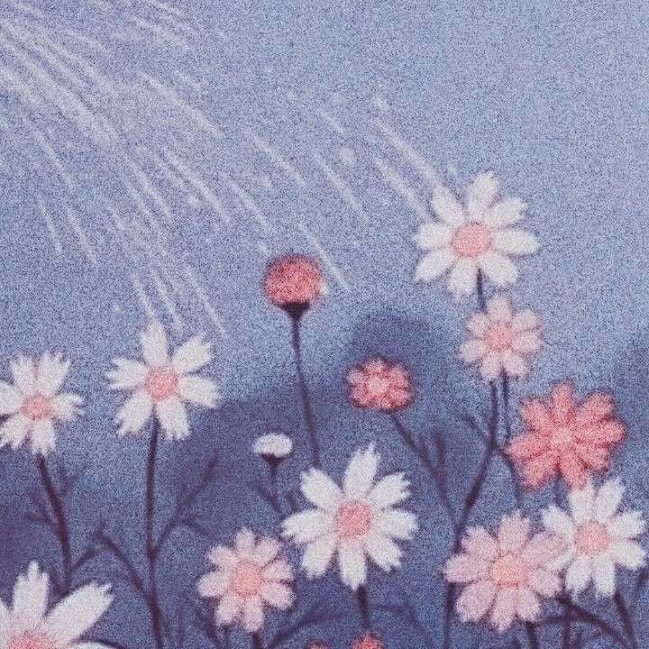 情感
