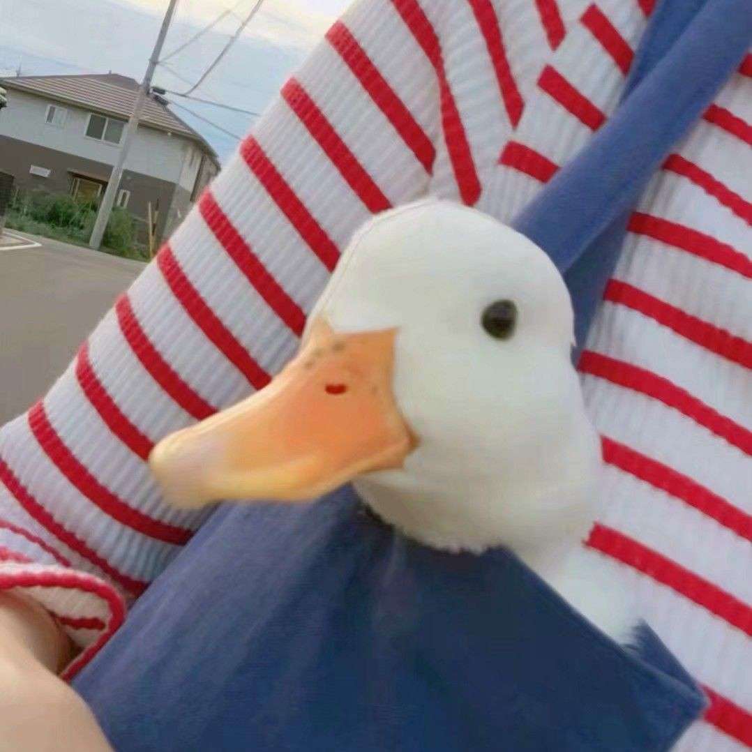 杂