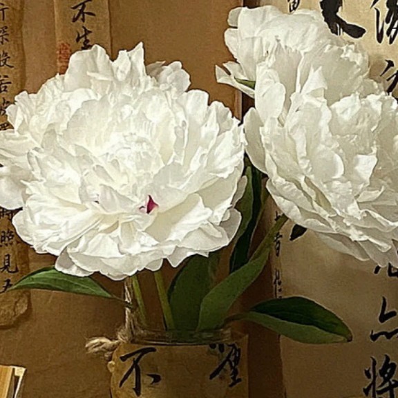 云端遗梦录