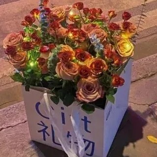 夏天的文案