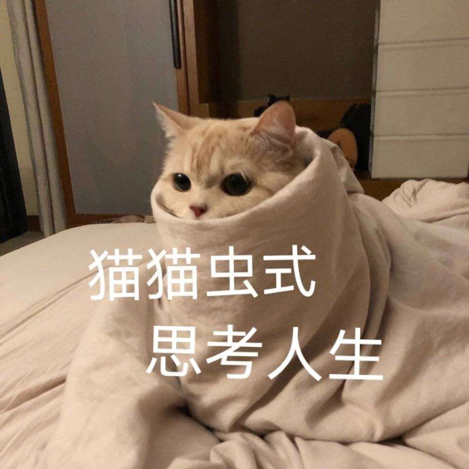 英文文案