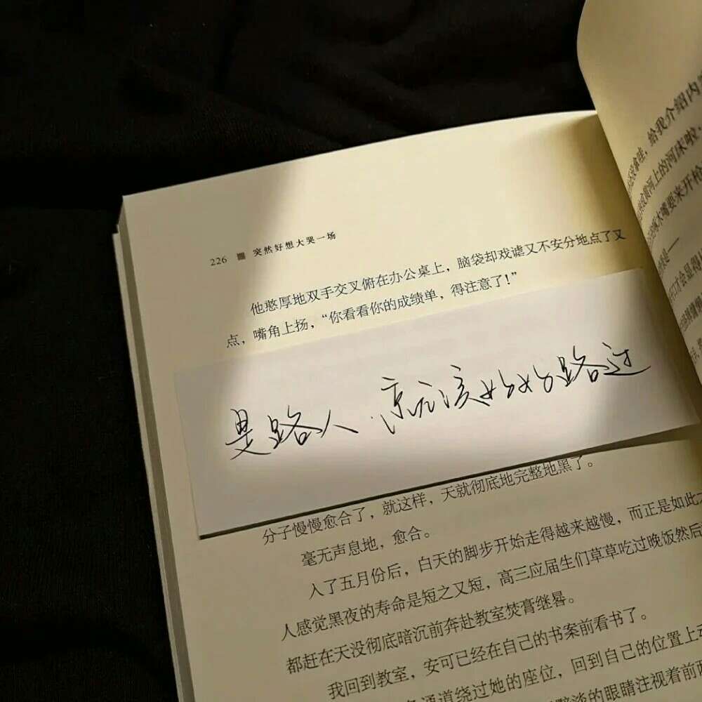 歌词