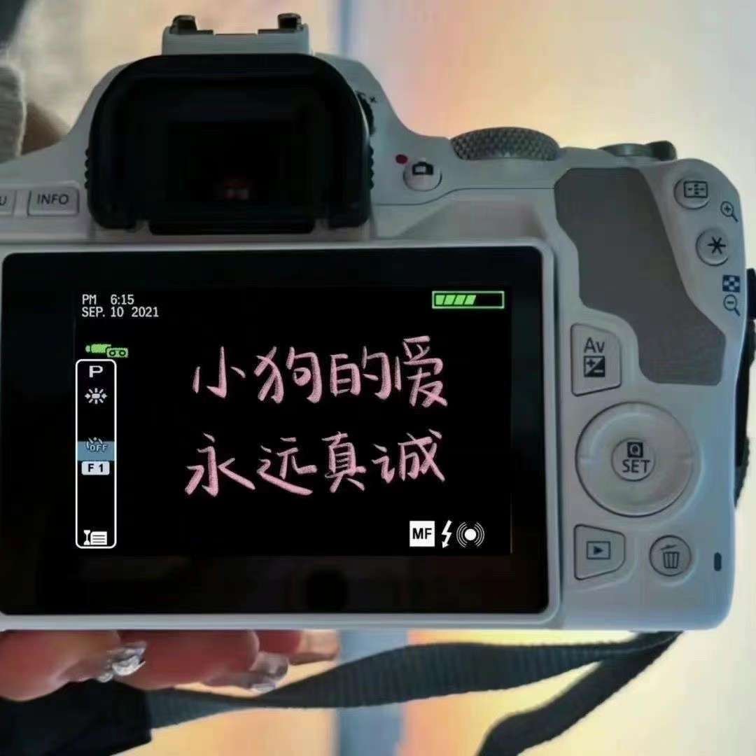 爱情