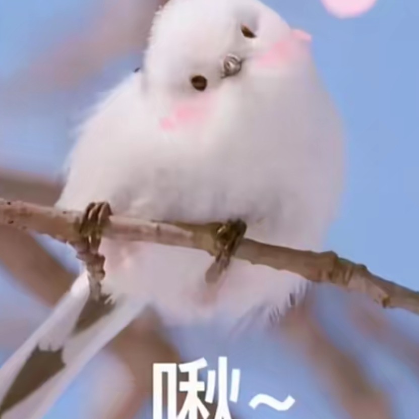 双鱼物语