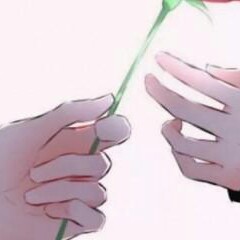 匿名君的专辑