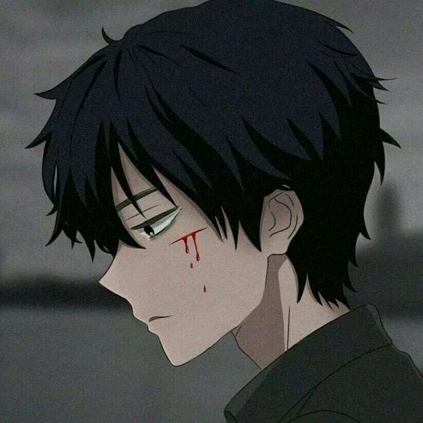 苏尘语录