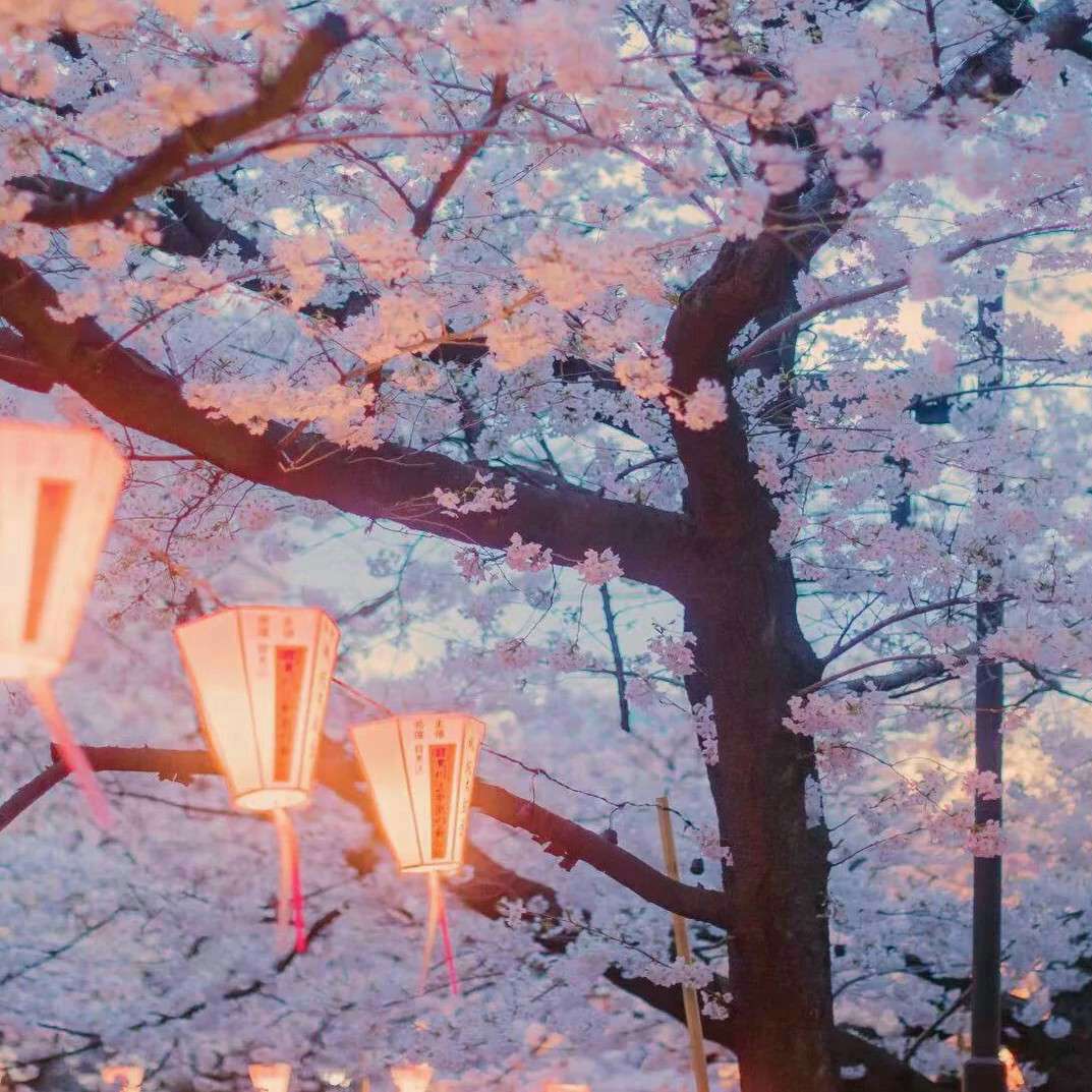 一个学生狗的碎碎念及摘录