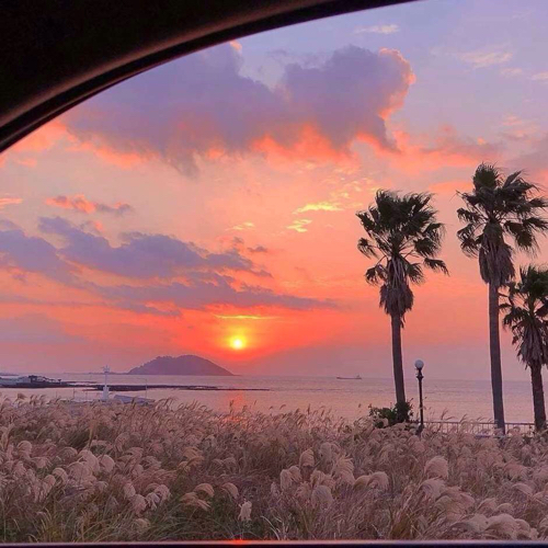 关于他