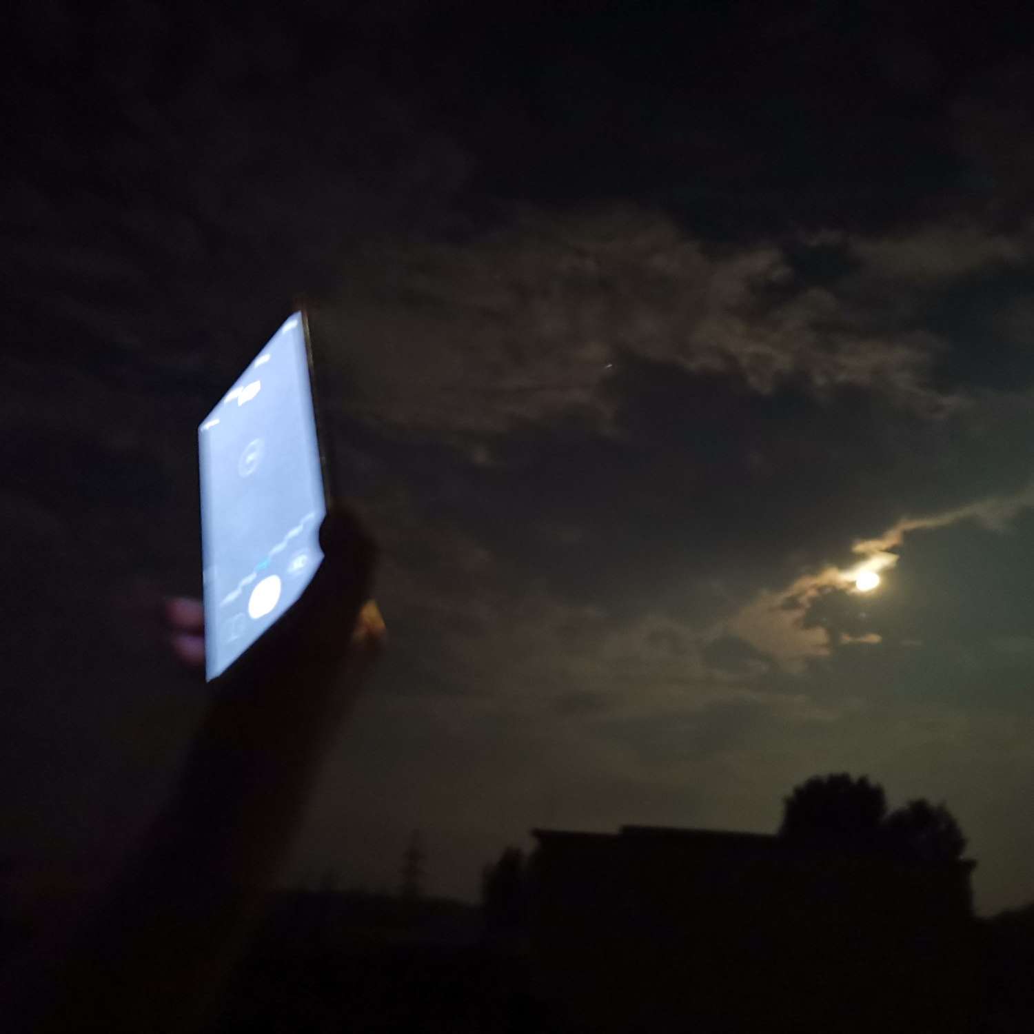 成长