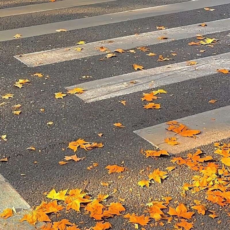 默认专辑