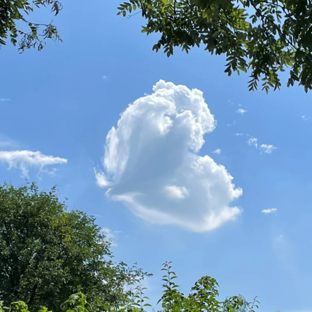 适合旅游出行的秒赞文案